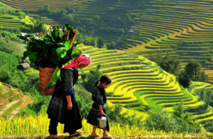 ĐẶT PHÒNG MƯỜNG THANH