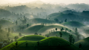ĐẶT PHÒNG MƯỜNG THANH